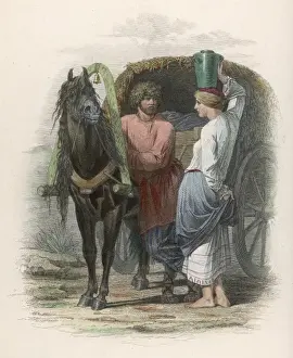 Racial Types / Russia
