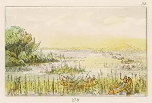 Racial / Wild Rice Gather