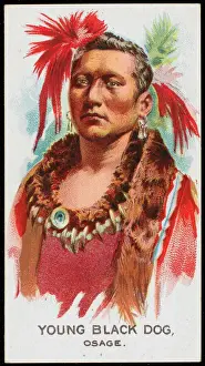 Osage Prints: Racial / Young Black Dog