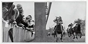 Excitement Prints: Racing at Kempton Park