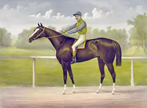 Salvator Prints: The racing King Salvator, mile record, 1: 35 1 / 2: by Prince C