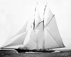 Yachting Prints: Racing Yacht Cetonia, Victorian period