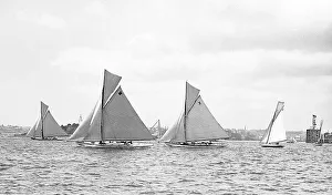 Yachts Prints: Racing yachts, Sydney Harbour, Australia