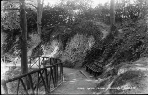 Guildford Prints: Racks Close, Guildford