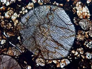 Microscopic Collection: Radial pyroxene chondrule