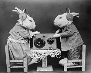 Images Dated 29th March 2012: Radio Rabbits