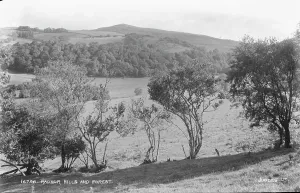 Radnor Hills and Forest