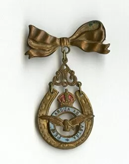 Images Dated 26th October 2011: RAF Per Ardua Ad Astra badge and brooch