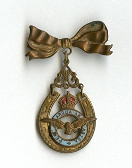 Images Dated 26th October 2011: RAF Per Ardua Ad Astra badge and brooch