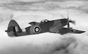 RAF Supermarine Spiteful Fxiv / F-14 Flying