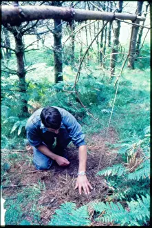RAF Survival School, Plymouth
