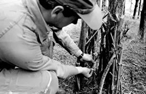 RAF Survival School, Plymouth