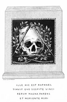 Accademia Collection: Raffaellos Skull
