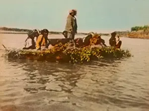 Inflated Prints: A Raft of inflated sheeps skins