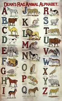 Rag Animal Alphabet available as Framed Prints, Photos, Wall Art and Photo  Gifts #23414992