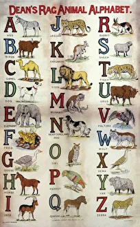 Rag Animal Alphabet available as Framed Prints, Photos, Wall Art and Photo Gifts #23414992 Rag Animal Alphabet available as Framed Prints, Photos, Wall Art and Photo Gifts #23414992