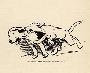 Bite Prints: Rags attacks Forager outside Tabithas window sill