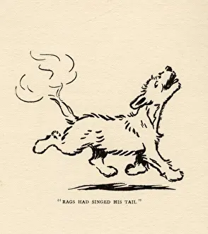 Rags the dog singes his tail