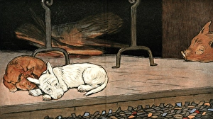 Rufus Gallery: Rags the puppy joins cat and piglet by the fire