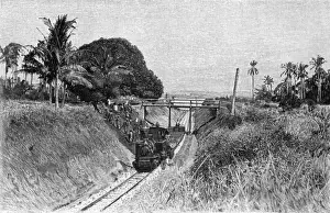 Tanzania Prints: Rail, German East Africa