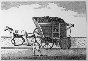 Rail, Horse-Drawn Coal