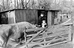 Railway enthusiast couple in Essex