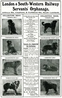 Fundraising Gallery: Railway Orphanage Charity Collecting Dogs