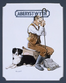 Live Stock Collection: Railway Sleeper - Aberystwyth Station