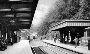 Railway Station, Newcastle under Lyme early 1900's