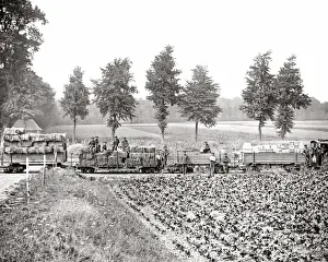 Bales Prints: Railway with supplies for British troops, WW1