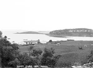 Lough Prints: Rainey Island from Mahee