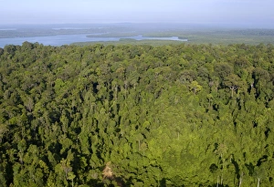 Aerials Gallery: Rainforest and Sekong Bay near Sandakan