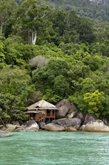 Forests Prints: Rainforest and a wooden cabin of the Bagus Place