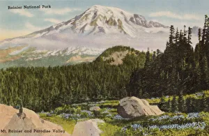 Rainier Prints: Rainier National Park, Washington State