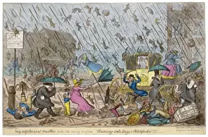 Raining Cats and Dogs