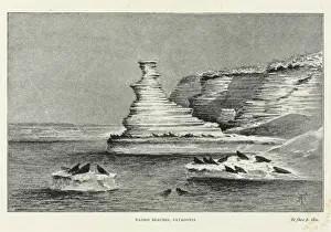 Darwin200 Prints: Raised beaches, Patagonis