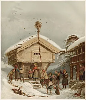 Images Dated 9th July 2021: Raising the Bird-Pole (with a sheaf at the top): a traditional Norwegian Christmas