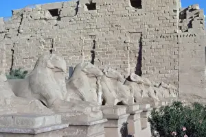 Flanked Prints: Ram-Headed Sphinxes