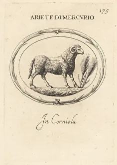 Carnelian Prints: Ram of the Roman god Mercury
