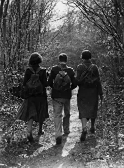Backs Prints: Three Ramblers