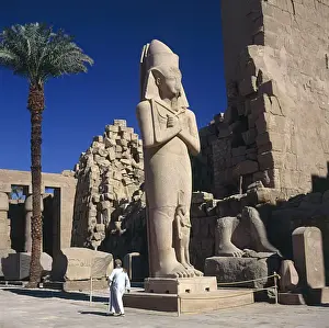Pharoah Prints: Rameses II Colossus