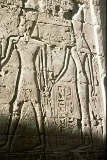 Pharoah Prints: Rameses II & Nefertiti