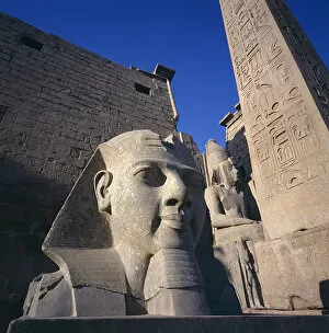 Amun Gallery: Rameses II Statue