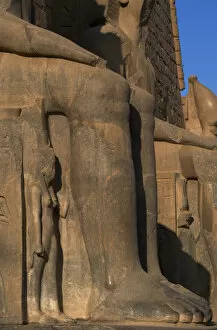 Pylon Gallery: Ramesses II. Leg