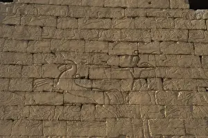 Xiiith Prints: Ramesses II. Relief depicting the Pharaoh on a chariot in t