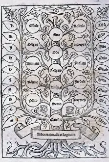 Ramon Llull (1232-1315). Majorcan writer and philosopher. De