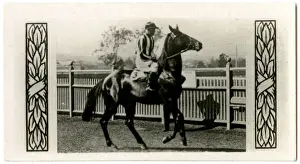 Williams Prints: Rampion, Australian race horse