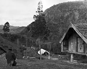 Wanganui Prints: Ranana, Whanganui River, New Zealand