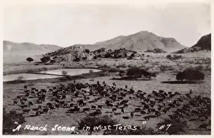 Ranch Prints: Ranch scene in West Texas, USA