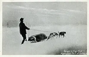 Sleigh Prints: Ranger's Dog Sled - Algonquin Park of Ontario, Canada